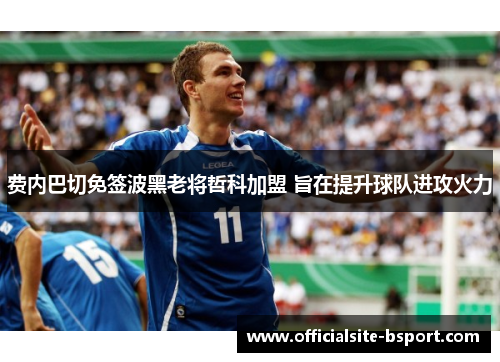 费内巴切免签波黑老将哲科加盟 旨在提升球队进攻火力