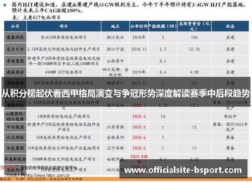从积分榜起伏看西甲格局演变与争冠形势深度解读赛季中后段趋势 从积分榜起伏看西甲格局演变与争冠形势深度解读赛季中后段趋势