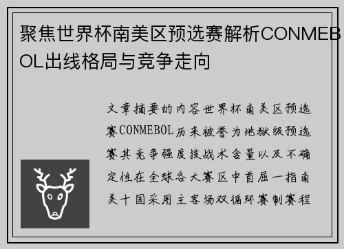 聚焦世界杯南美区预选赛解析CONMEBOL出线格局与竞争走向